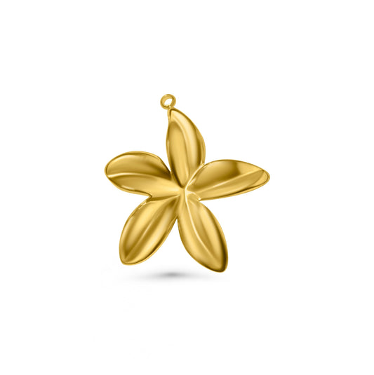 Aloha Charm